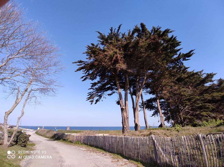 Logement En Rdc Port Haliguen Apartment Quiberon Luaran gambar
