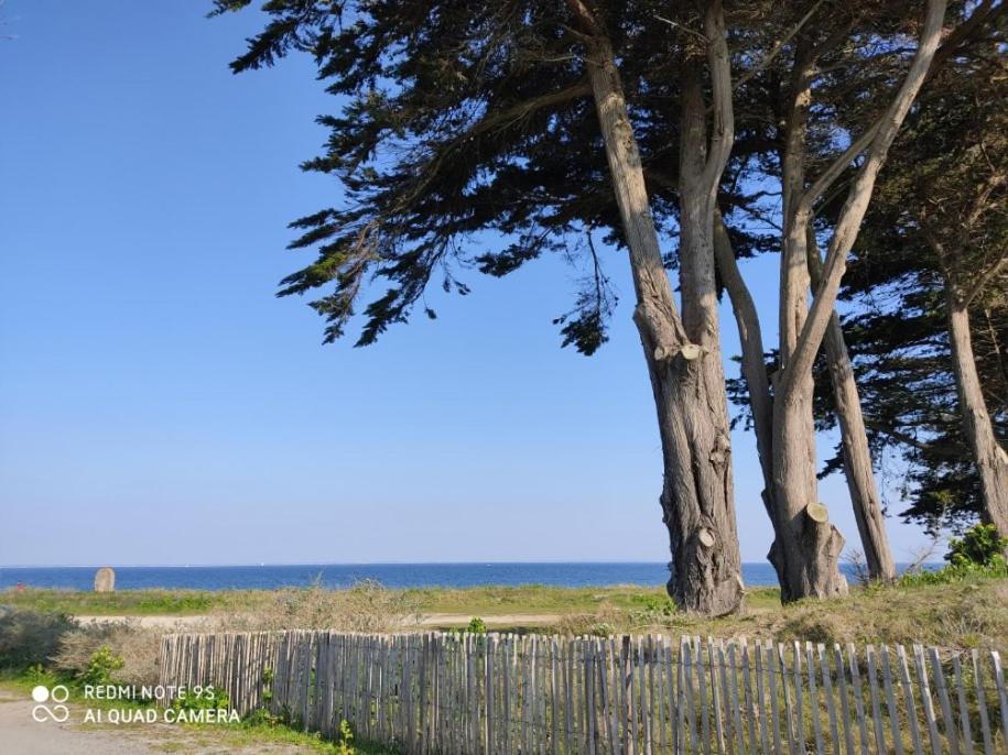 Logement En Rdc Port Haliguen Apartment Quiberon Luaran gambar